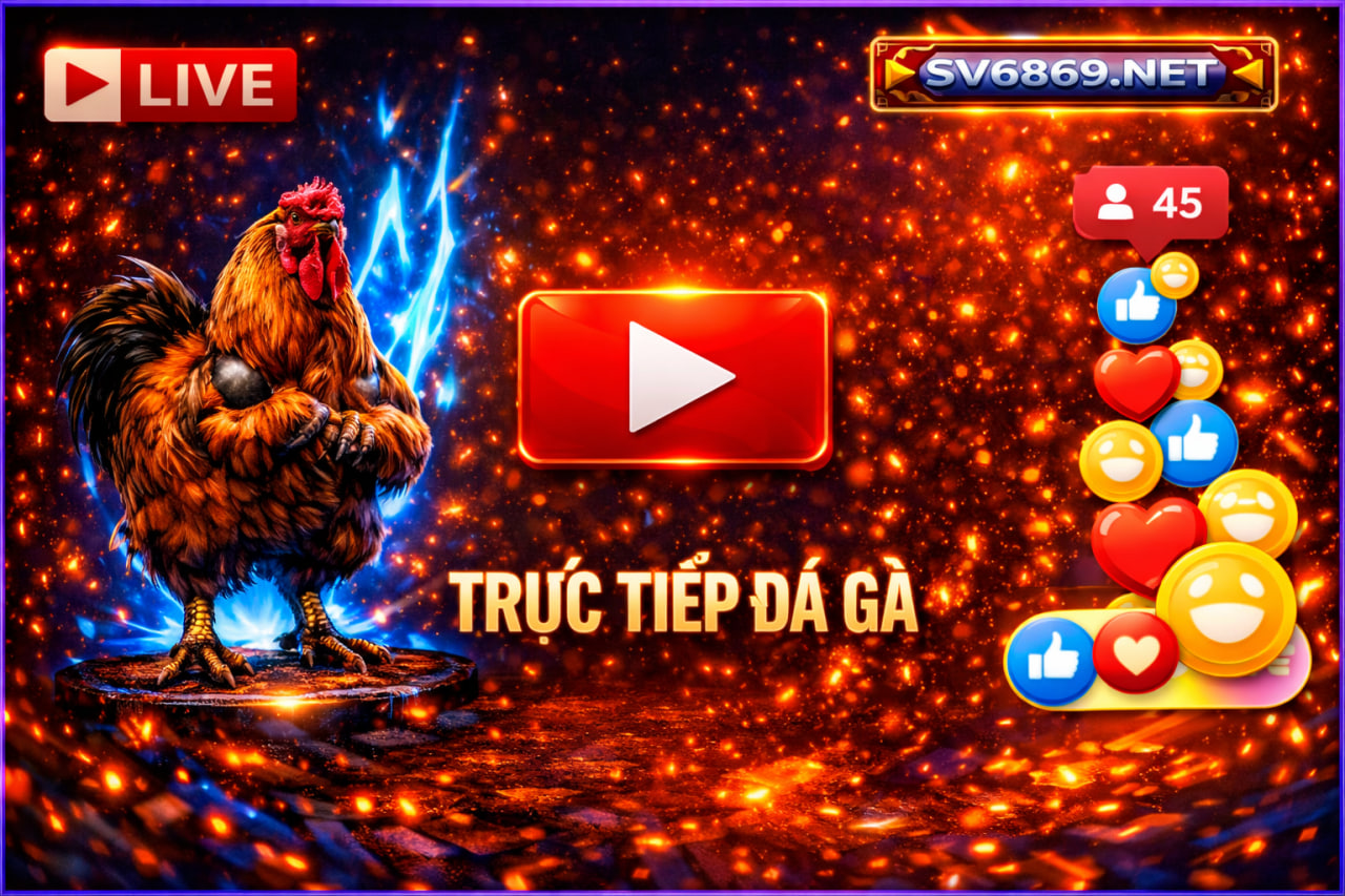Đá gà trực tiếp Thomo CPC2